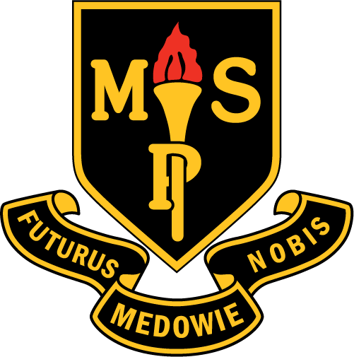 Logo of Medowie Public School