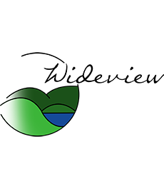 Logo of Wideview Public School