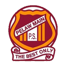 Logo of Pelaw Main Public School