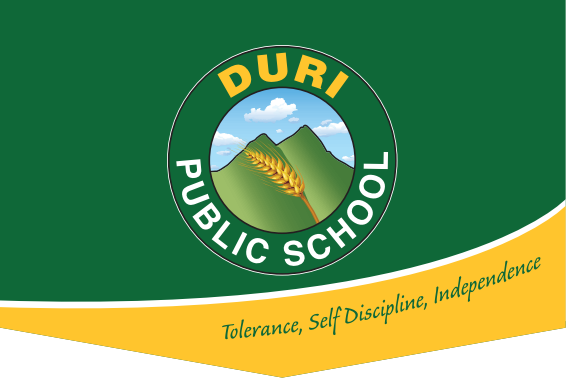 Logo of Duri Public School