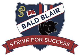Logo of Bald Blair Public School