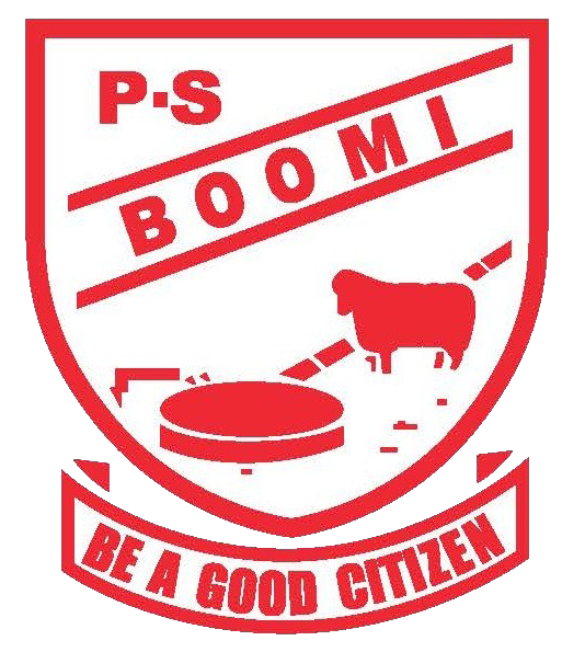 Logo of Boomi Public School