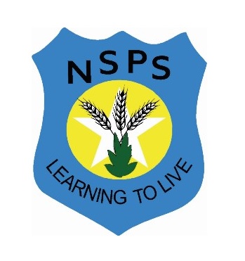 Logo of North Star Public School