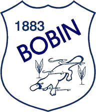 Logo of Bobin Public School