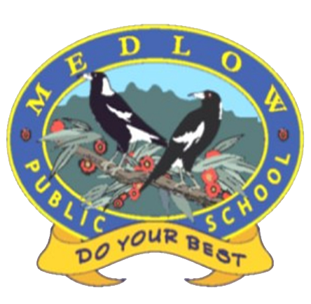 Logo of Medlow Public School