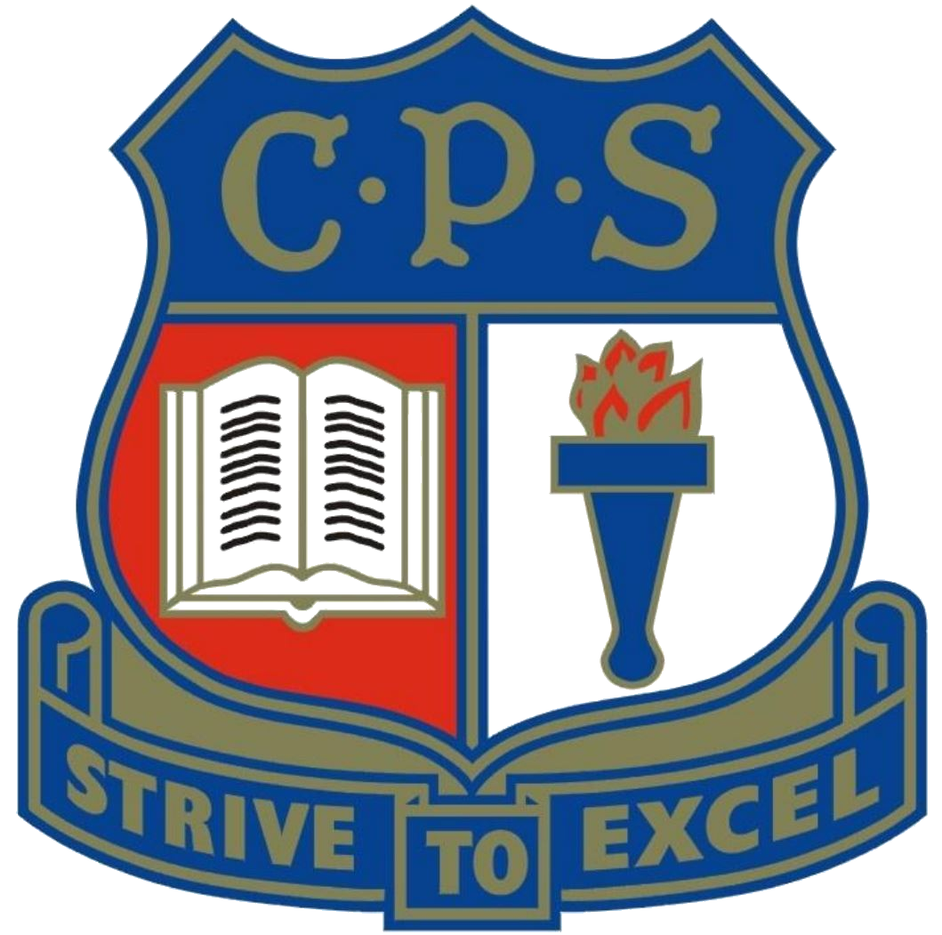 Logo of Casino Public School