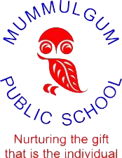 Logo of Mummulgum Public School