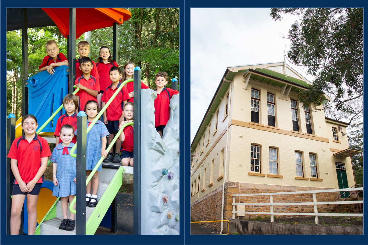 Logo of Mount Kembla Public School