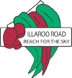 Logo of Illaroo Road Public School