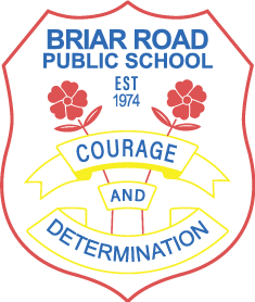 Logo of Briar Road Public School