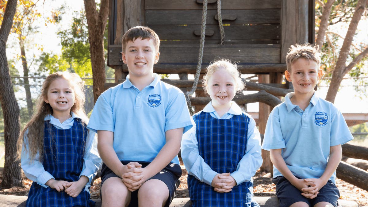 Logo of Cawdor Public School