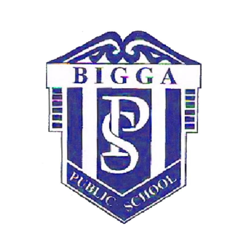 Logo of Bigga Public School