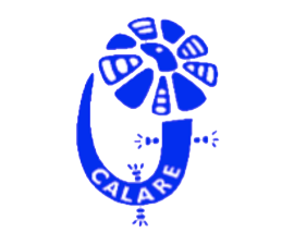Logo of Calare Public School