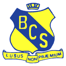 Logo of Binnaway Central School
